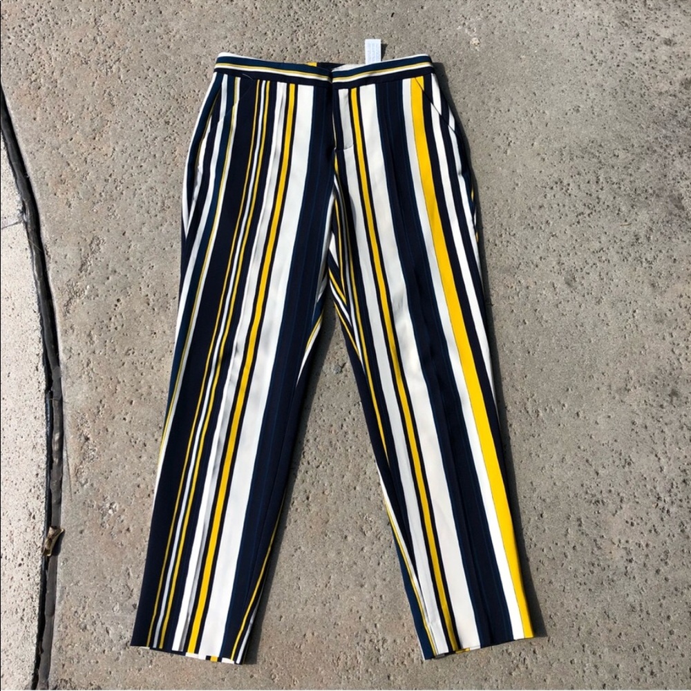 Zara pants